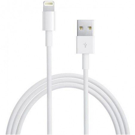 Apple Lightning to USB Cable 1m for iPhone 5,6,7 (Original)